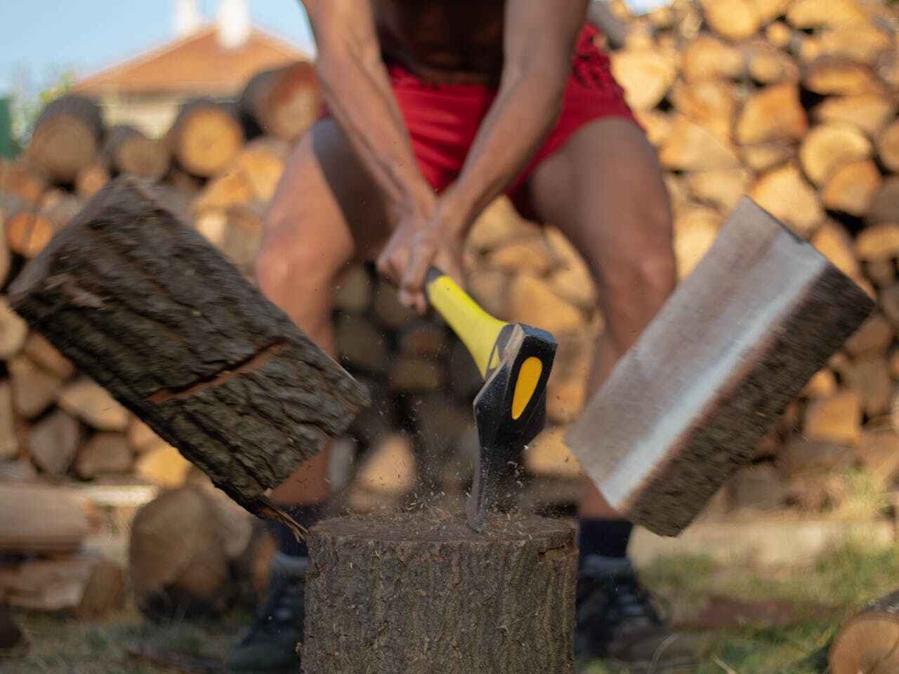 Best Stump Grinding Near Me  in Stanfield, NC